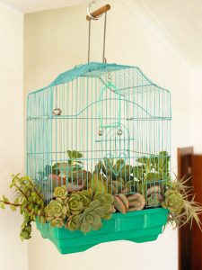 Bird cage planter