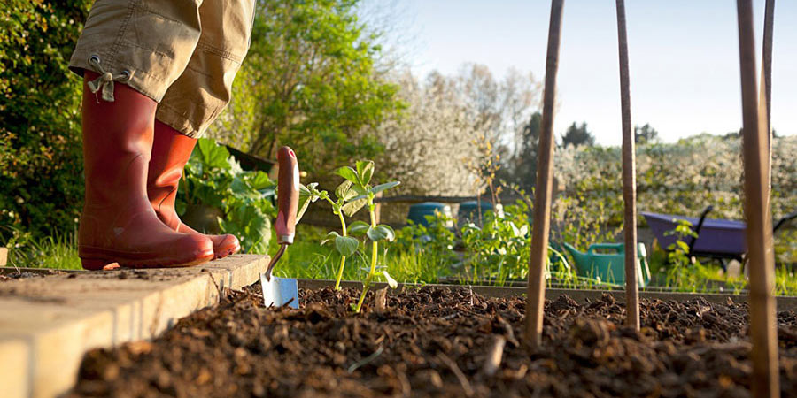 Gardening