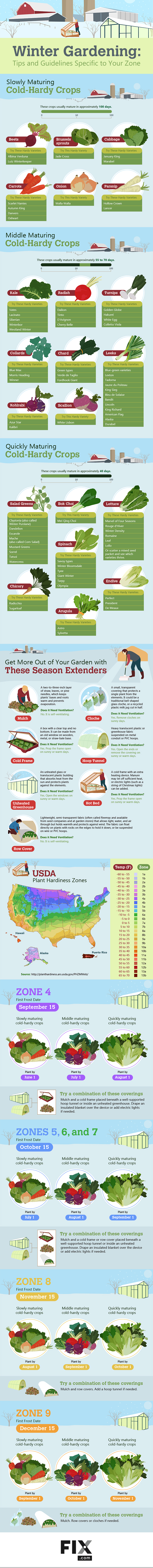 Winter gardening infographic