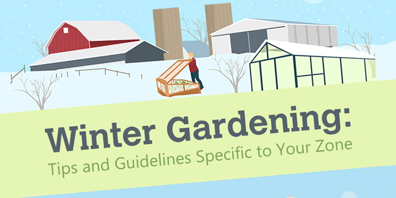 Winter Gardening Tips