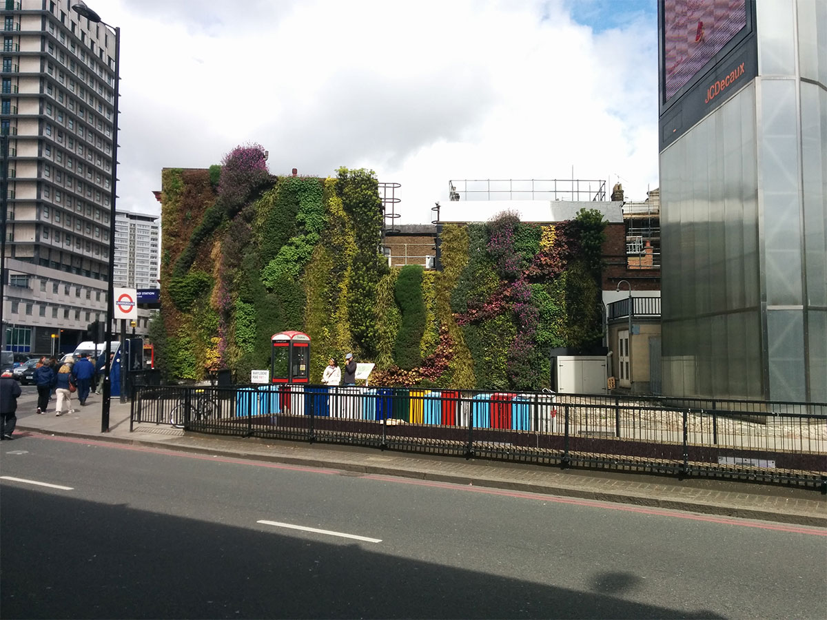 Wall garden on Edgware Road