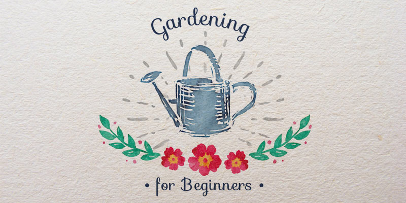 Gardening for Beginners