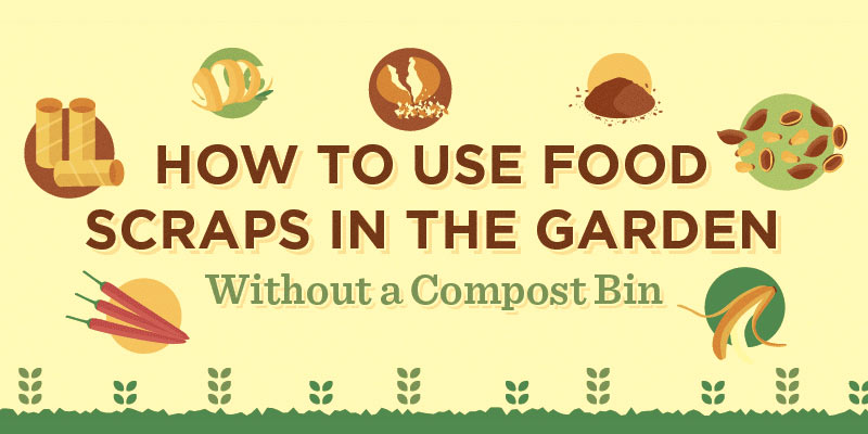 How to use food scraps in the garden