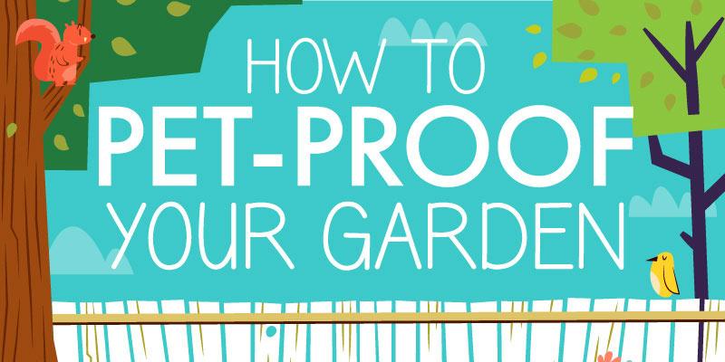 How to Pet-Proof Your Garden