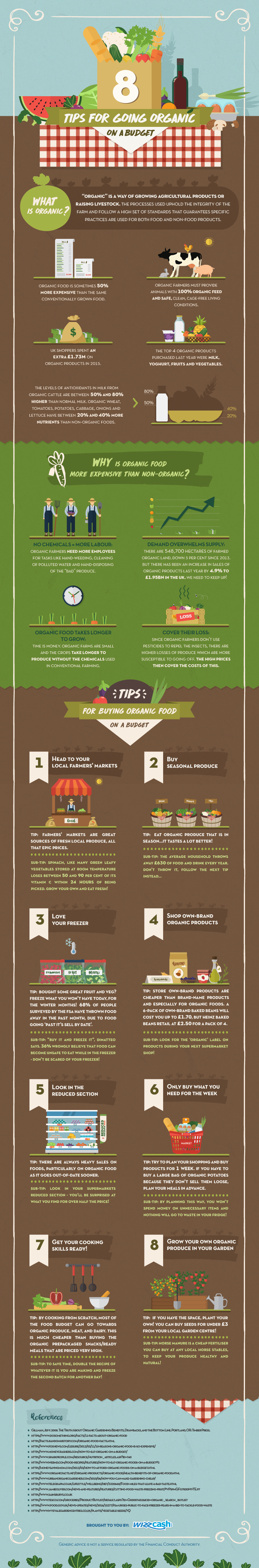 Organic food infographic