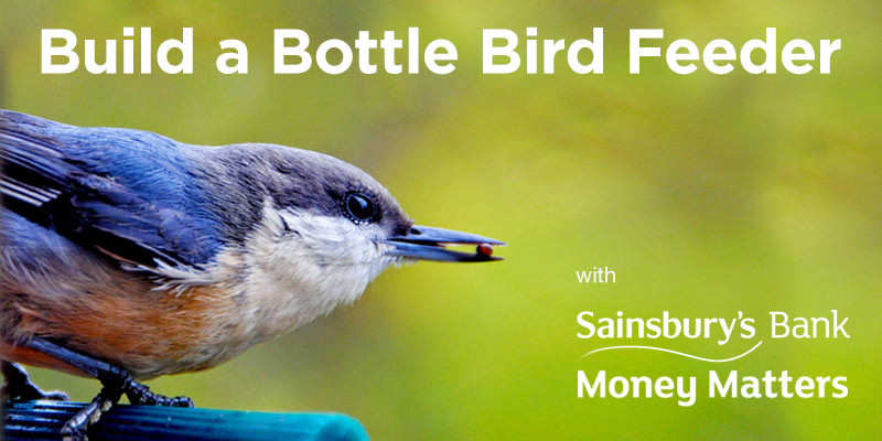 Build a bottle bird feeder