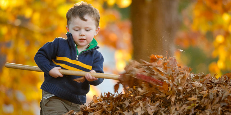 Winter gardening tips