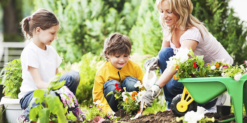 Gardening