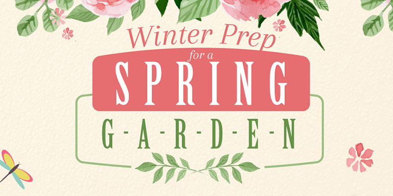 Winter prep for a Spring garden