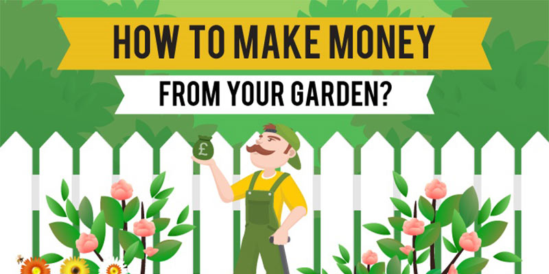How to make money from your garden