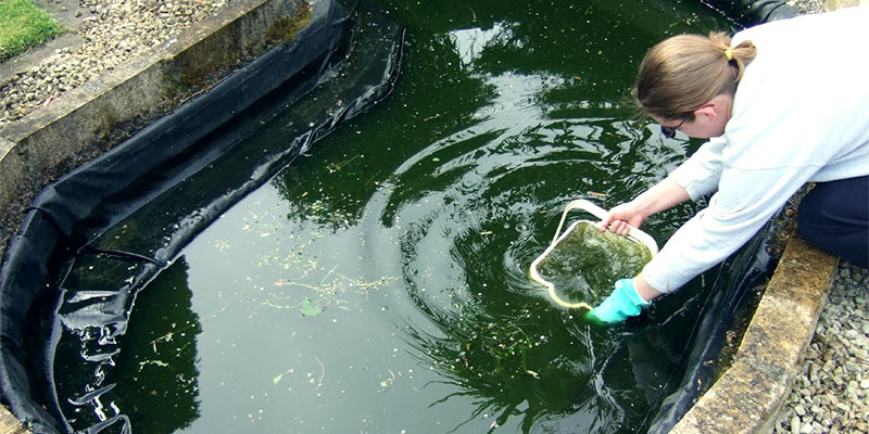 pond cleaning