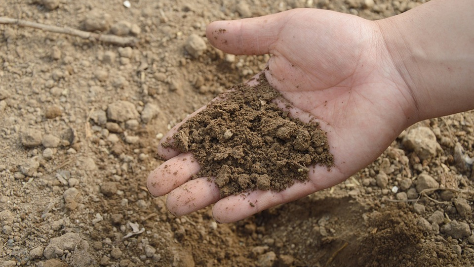 unproductive soil