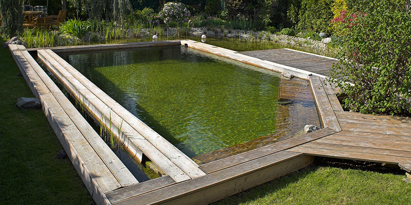 natural swimming pool