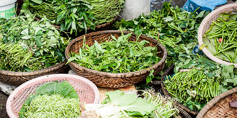 herbs