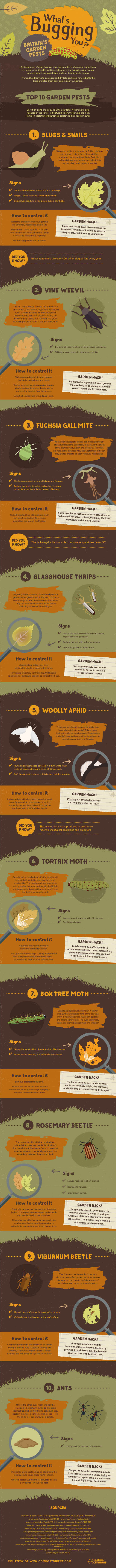 garden pests infographic