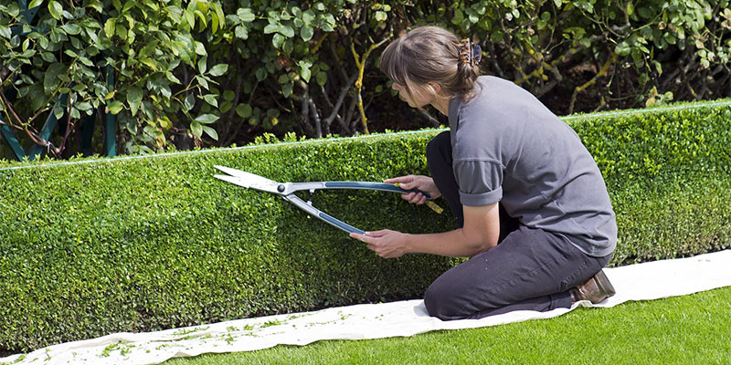 gardening