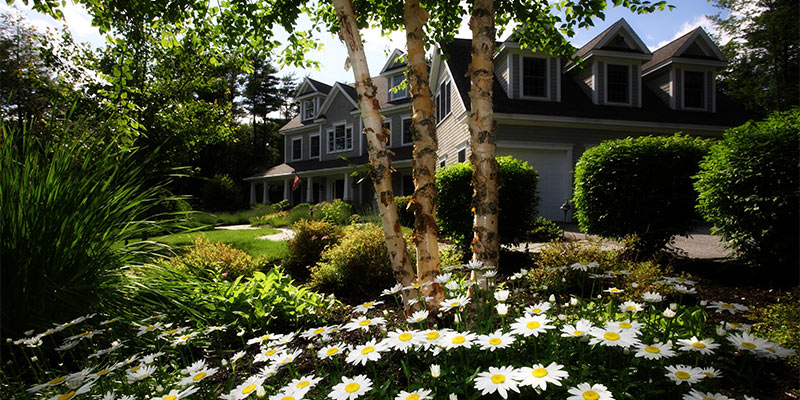 home and garden