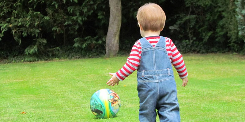 playing child garden play young boy outdoor grass backyard kids toddler lawn kid youth fun game friendly inside person ball