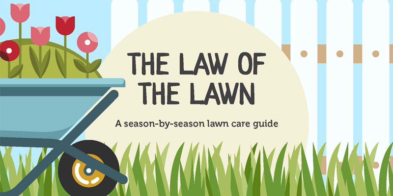 lawn care