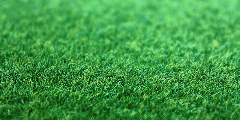 artificial grass