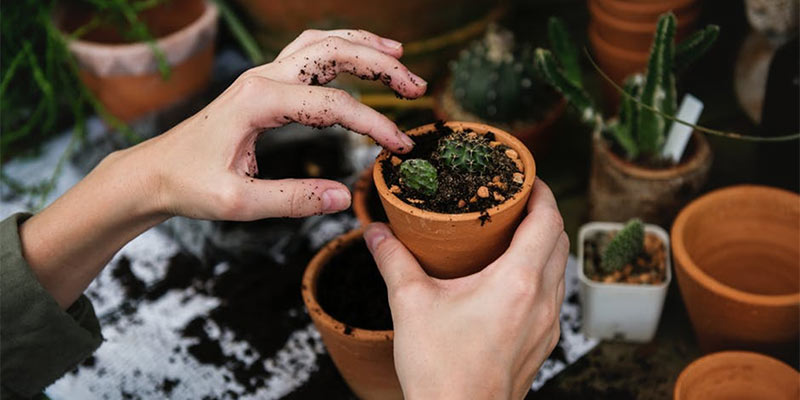 garden essentials