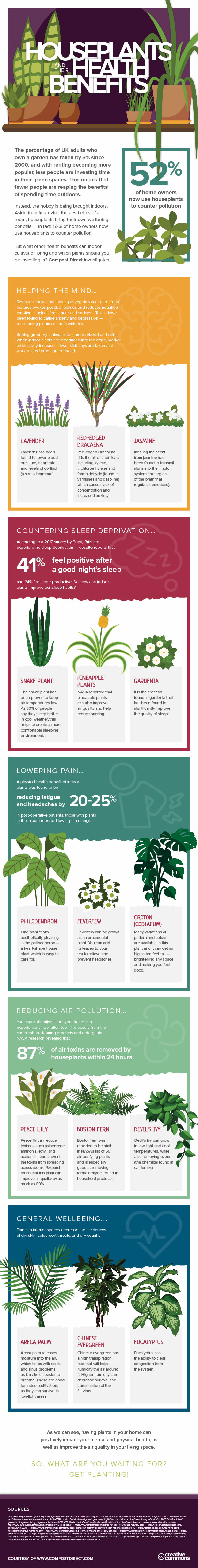 houseplants and their health benefits