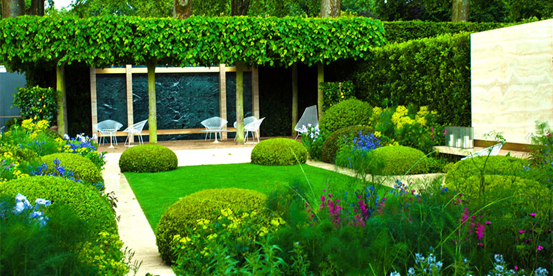 garden trends