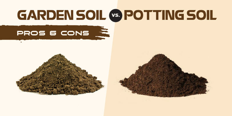 garden soil vs potting soil