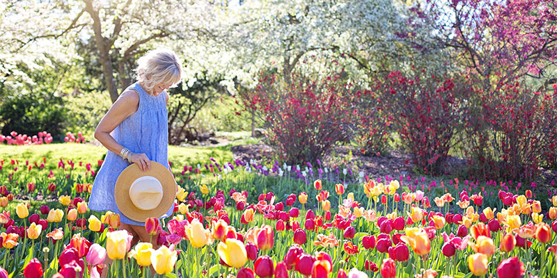 flower garden