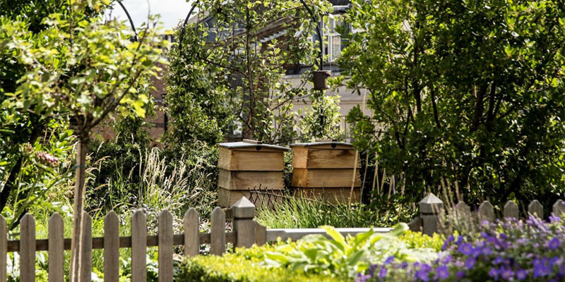 rooftop gardens