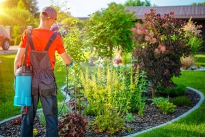 garden designers