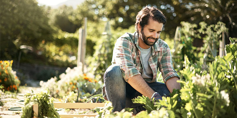 gardening