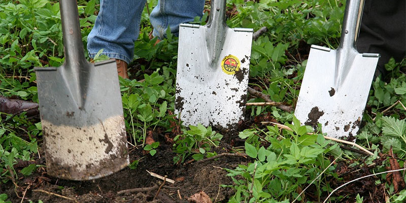 low cost gardening