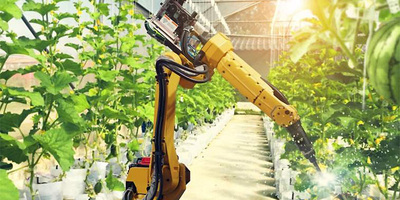 agricultural robot