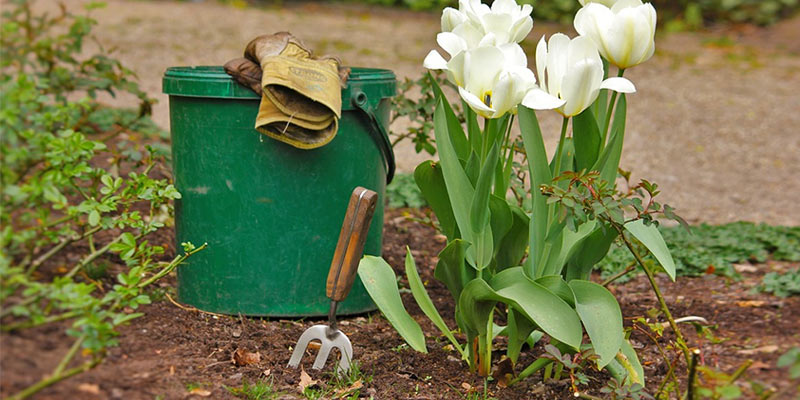 garden tools