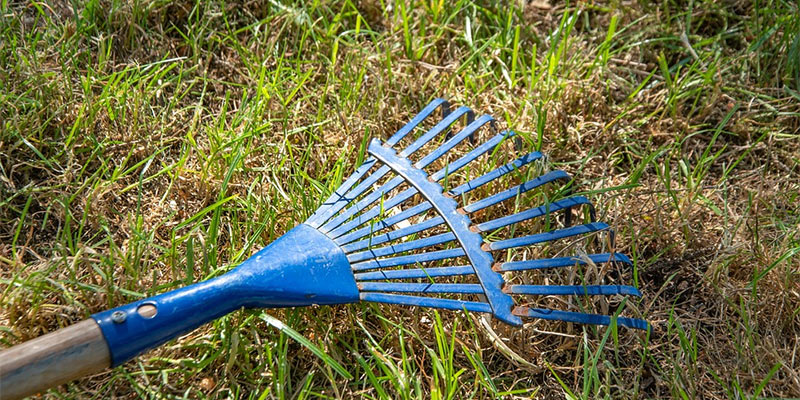 garden tools