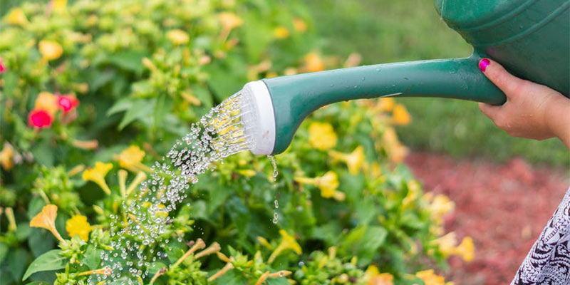 garden care