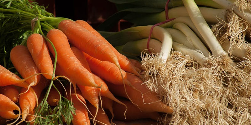 vegetable garden