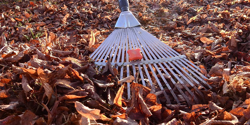 winter garden prep