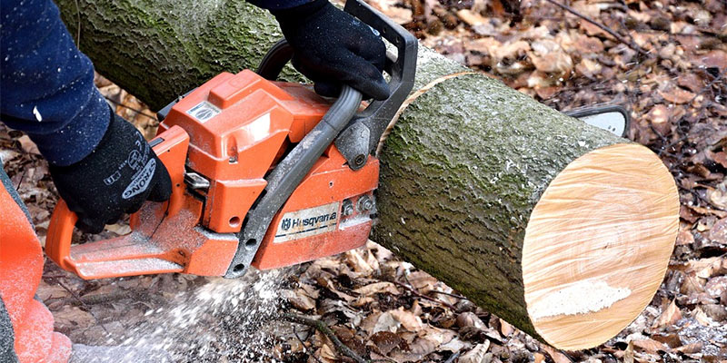 Cutting down a tree