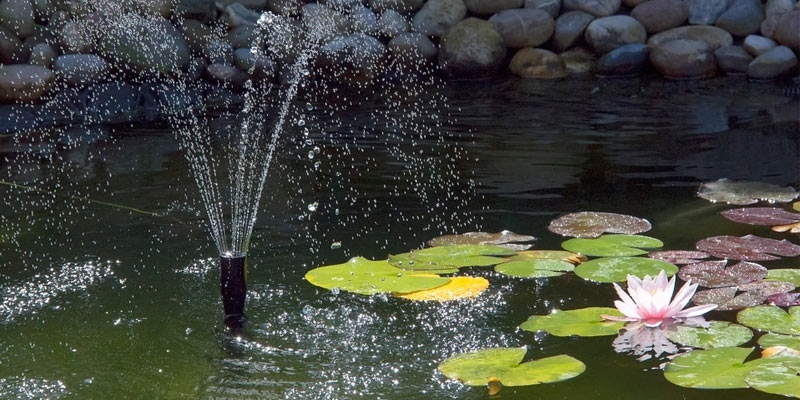 pond fountain