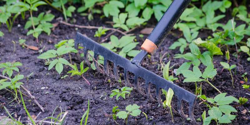 gardening