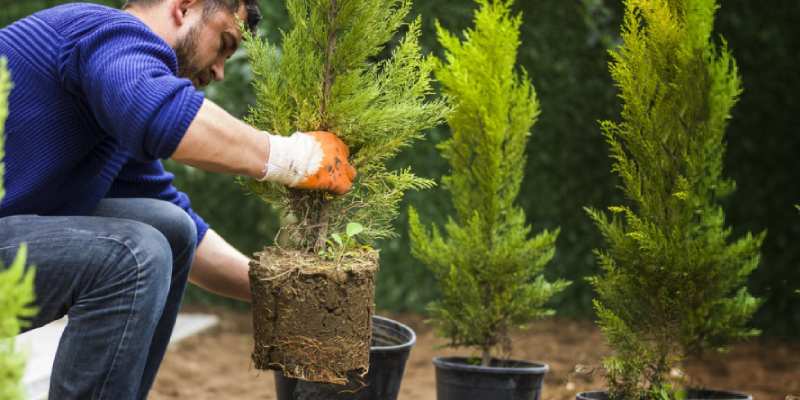 moving with a garden