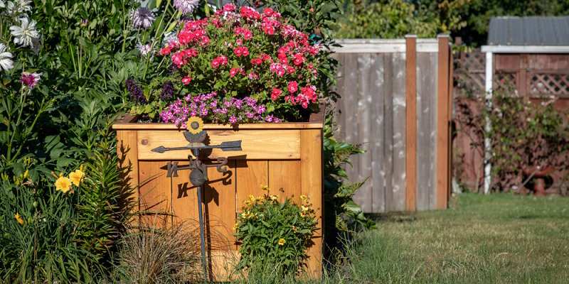 wooden planter box