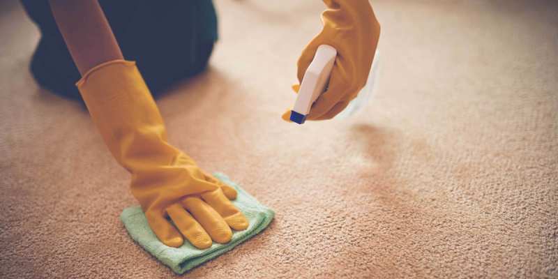 carpet cleaning