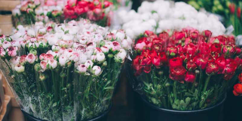 Online florists or local florists - Which is better? | House & Home Ideas