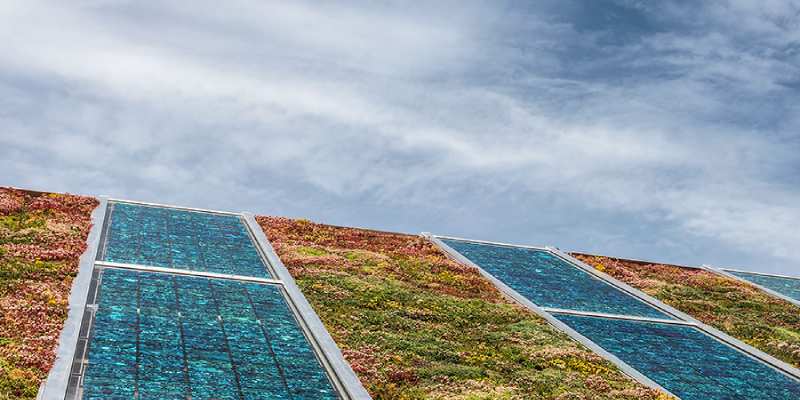 green roof