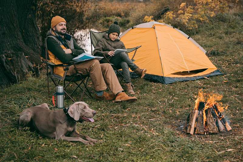 camping with dogs