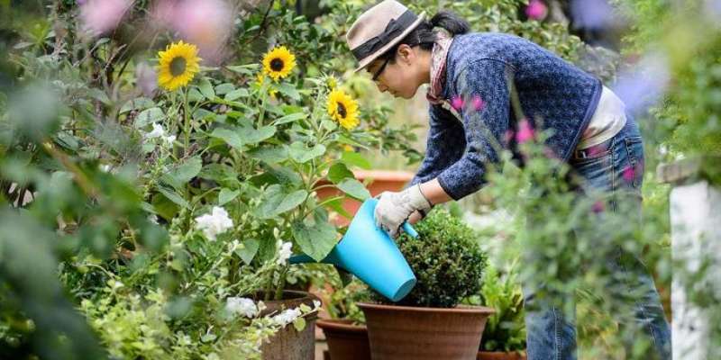 gardening