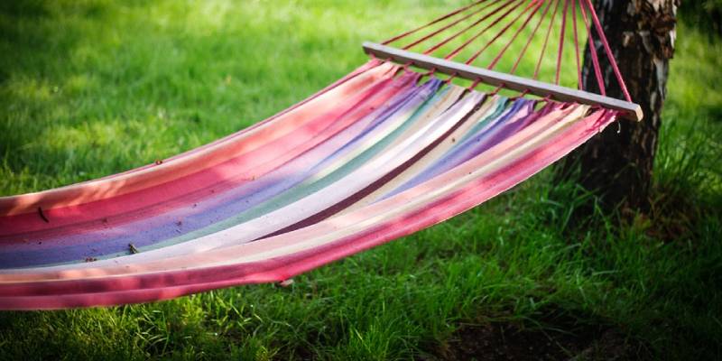 hammock